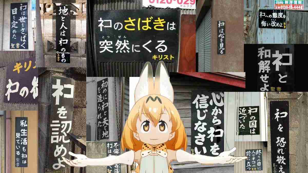 変なポーズの猫画像ください