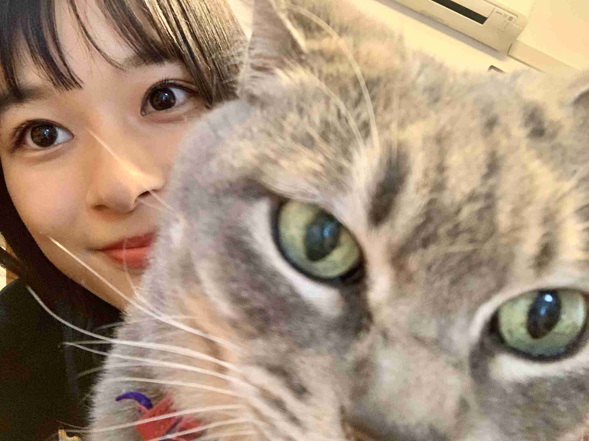 芳根京子さんが好き。
