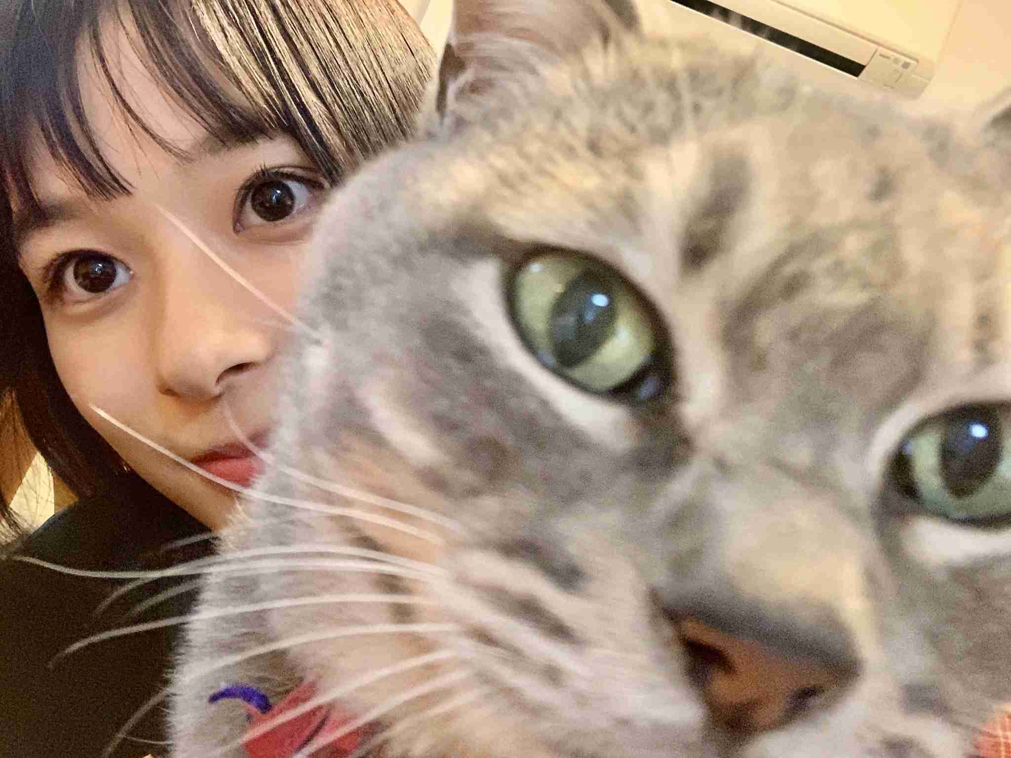 芳根京子さんが好き。