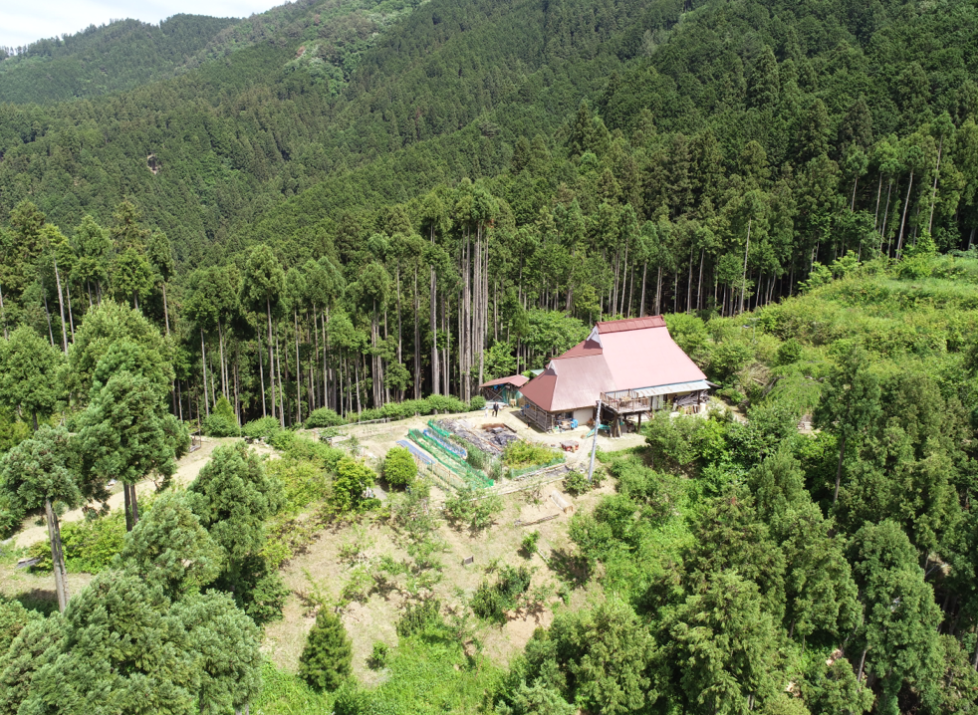 お金持ちになったとしたら何処でどんな家を建てたいですか❓