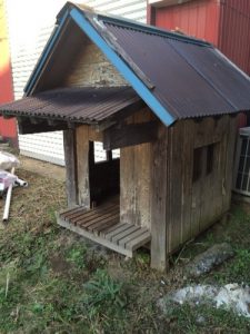 お金持ちになったとしたら何処でどんな家を建てたいですか❓