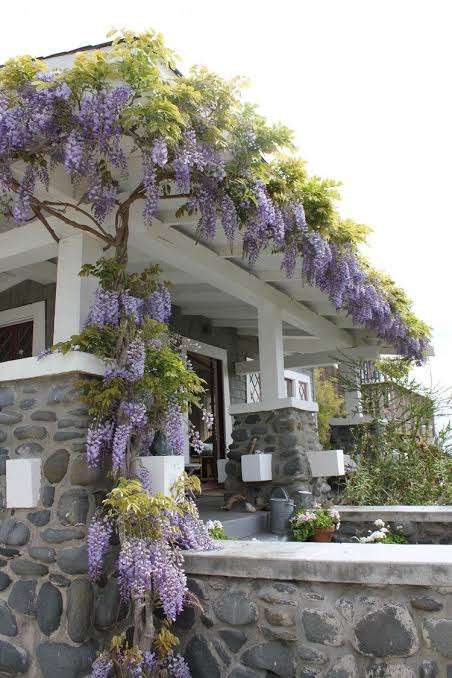 お金持ちになったとしたら何処でどんな家を建てたいですか❓