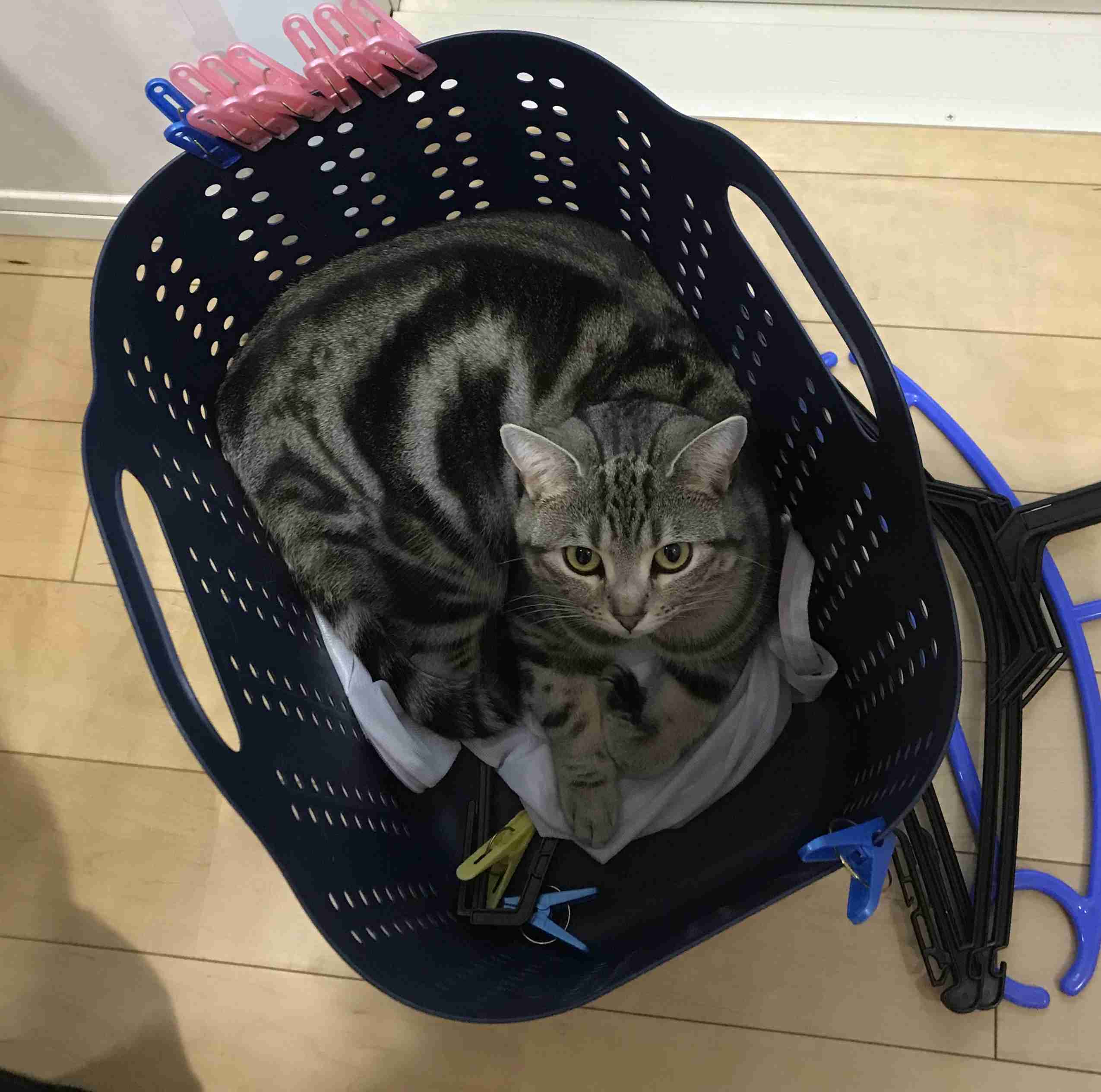 生活感溢れる写真☆part11