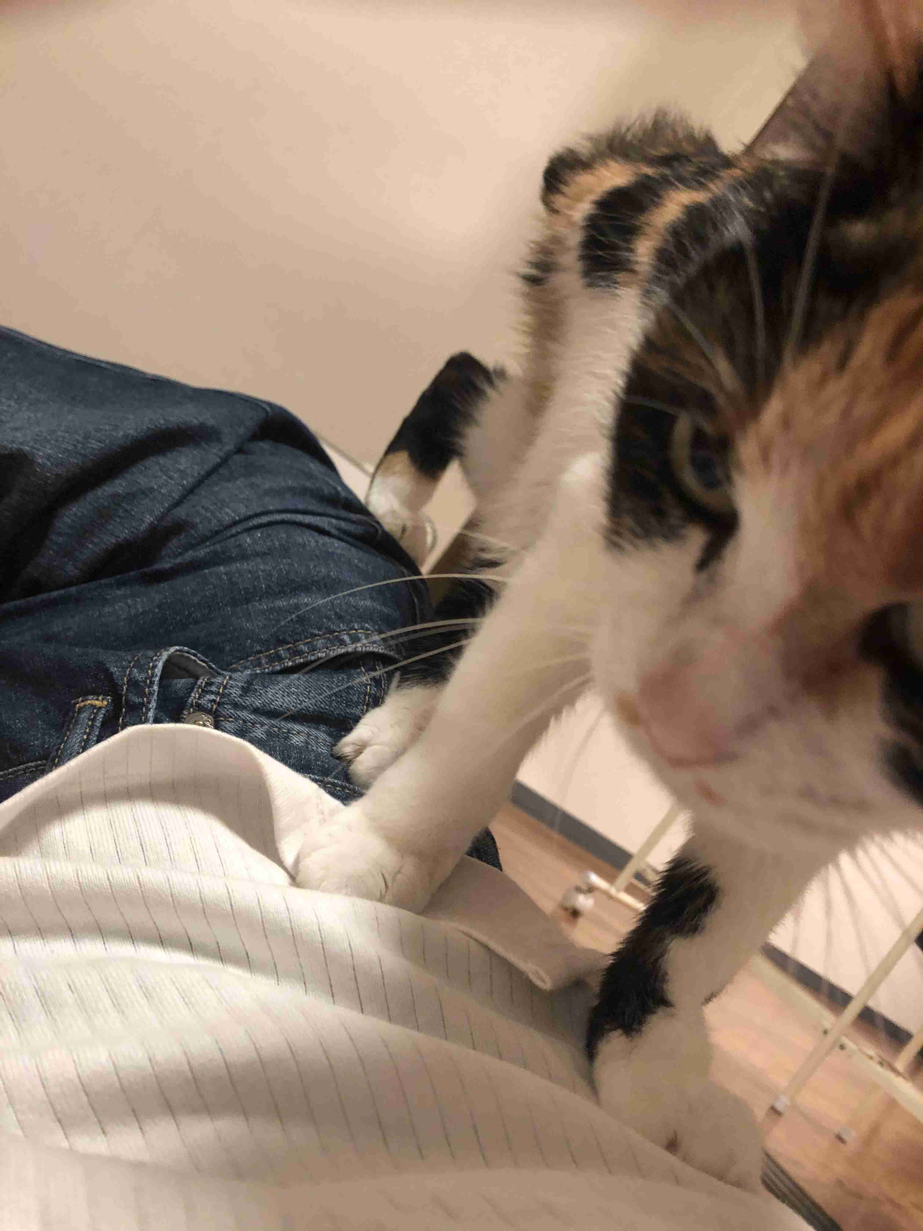 生活感溢れる写真☆part11