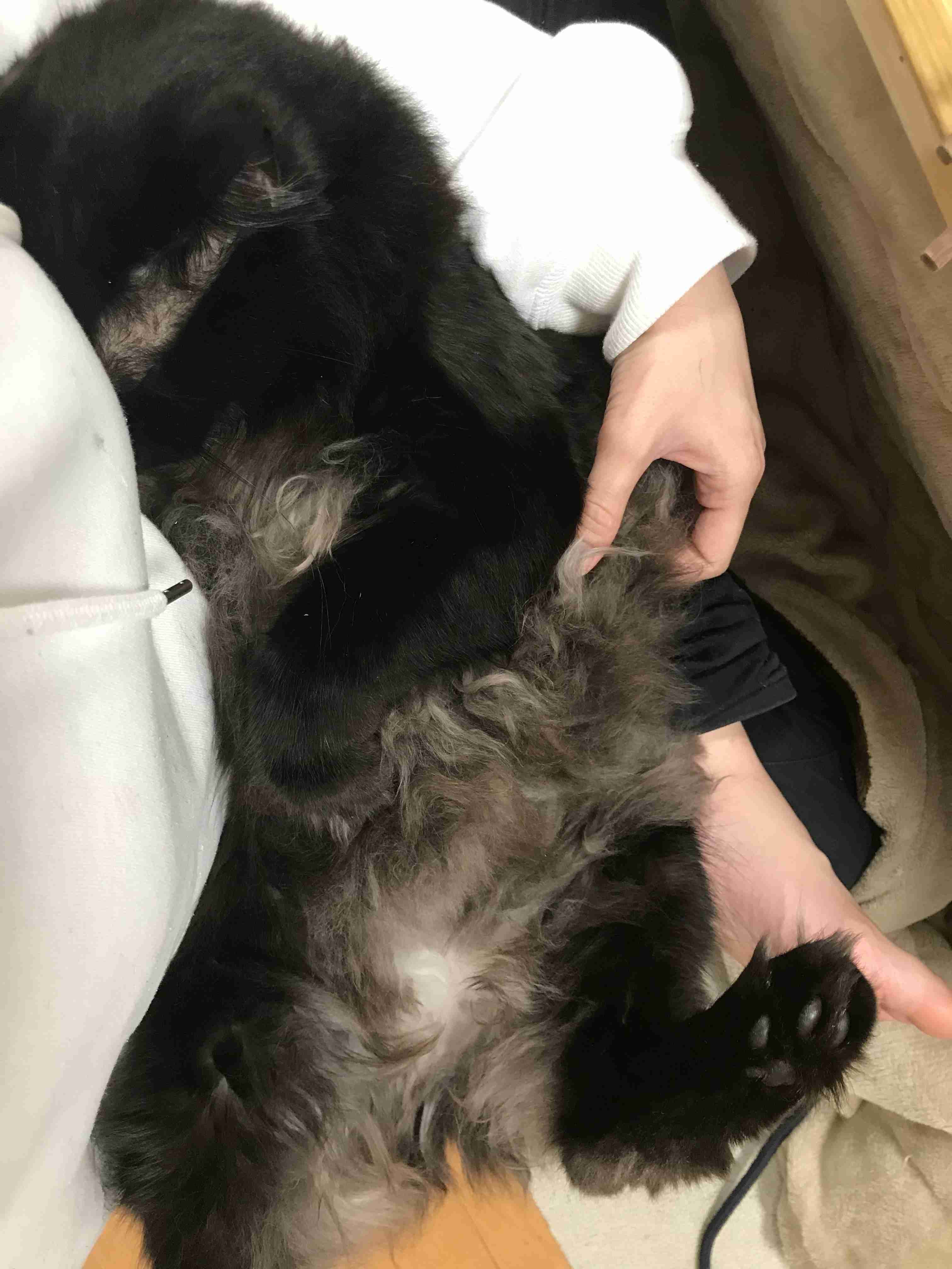 生活感溢れる写真☆part11