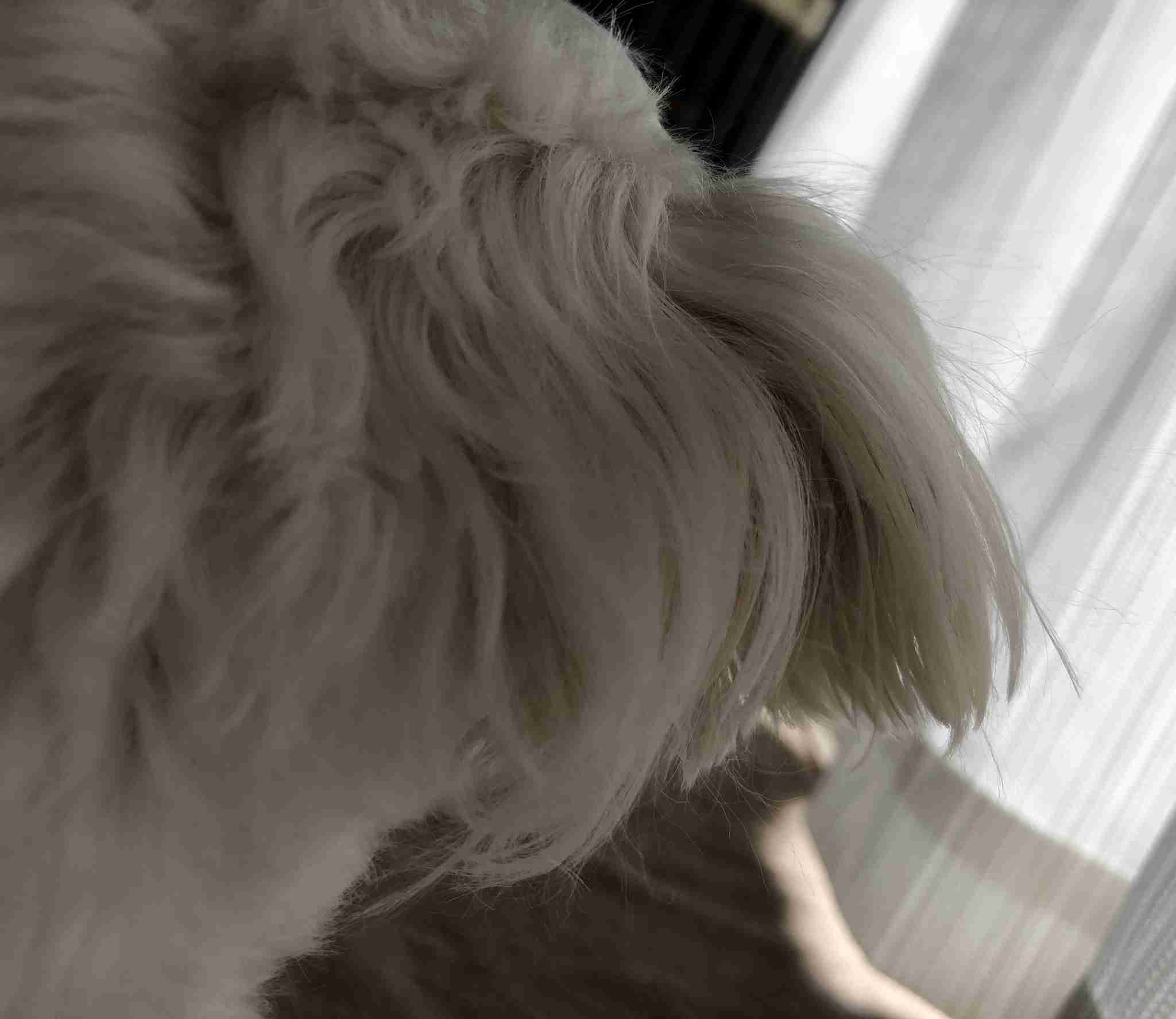 生活感溢れる写真☆part11