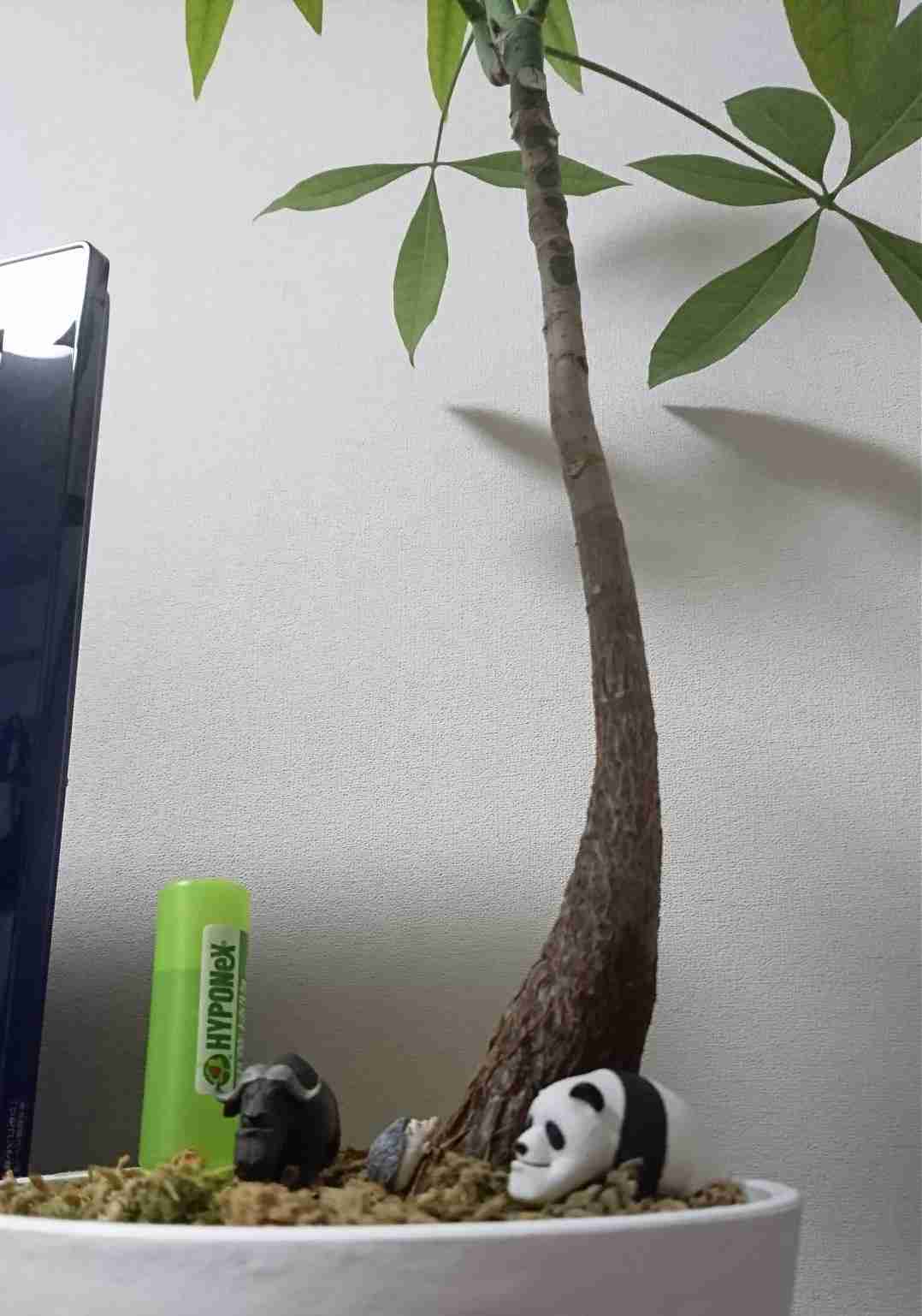 生活感溢れる写真☆part11