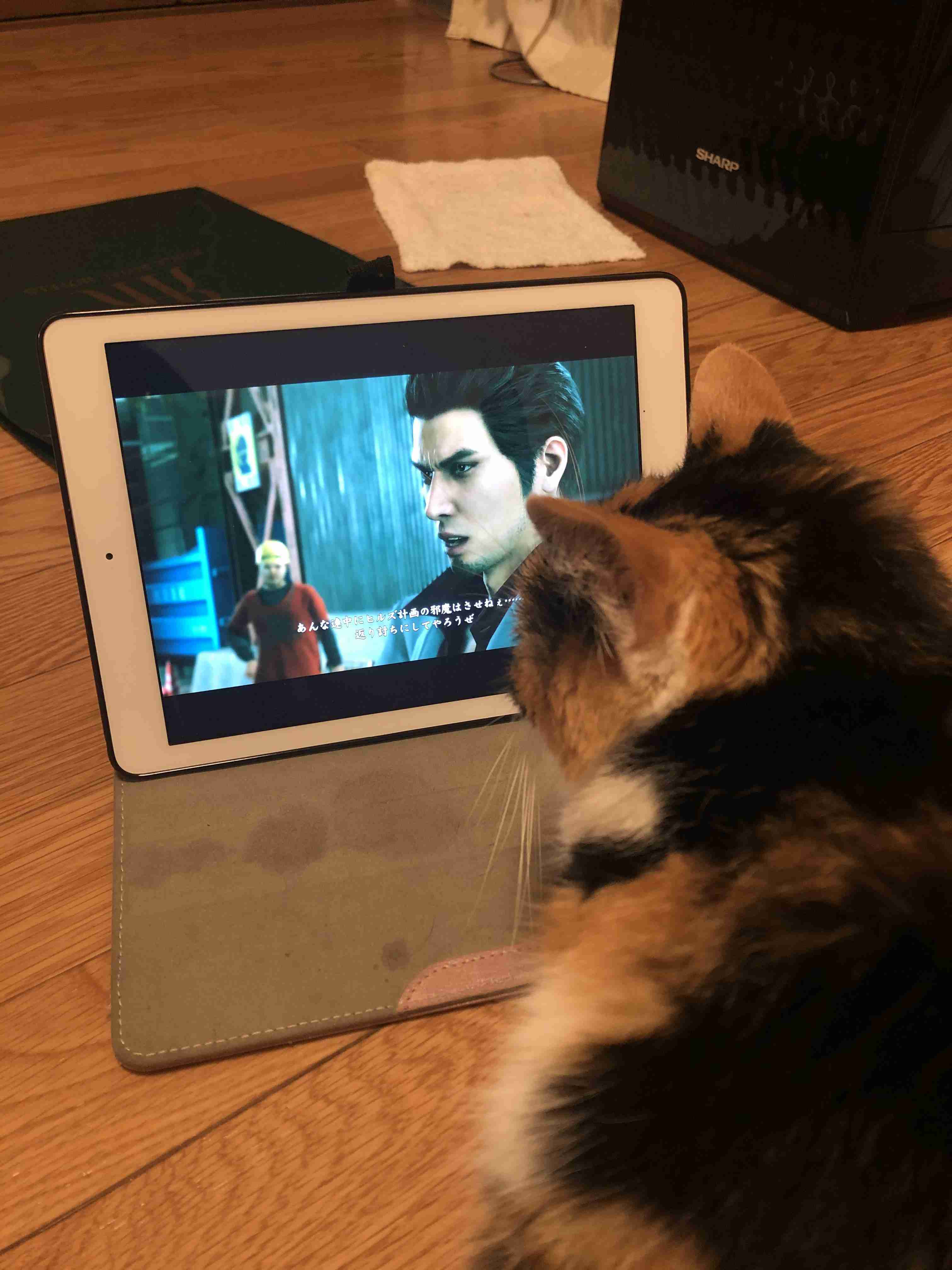 生活感溢れる写真☆part11