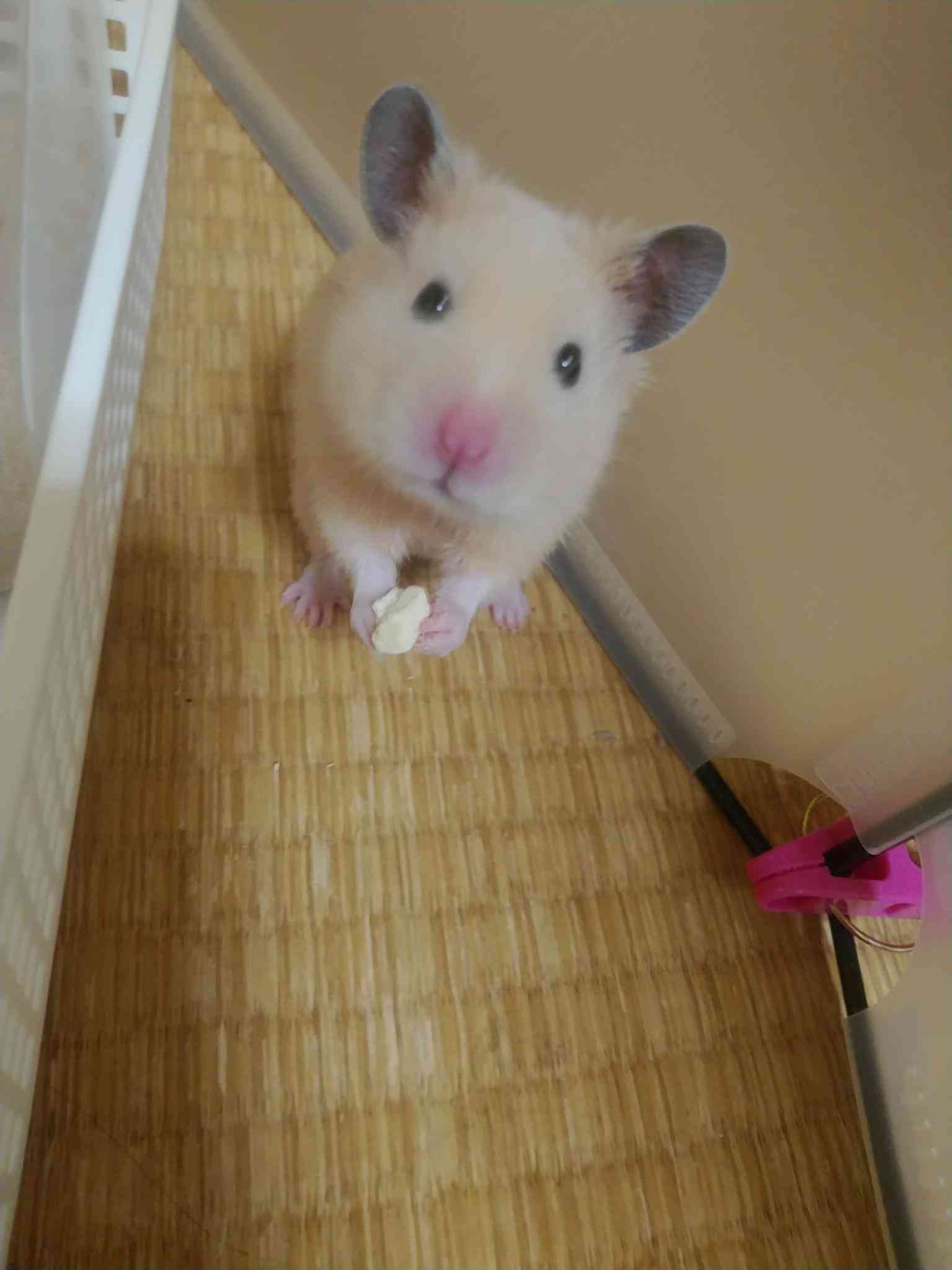 生活感溢れる写真☆part11