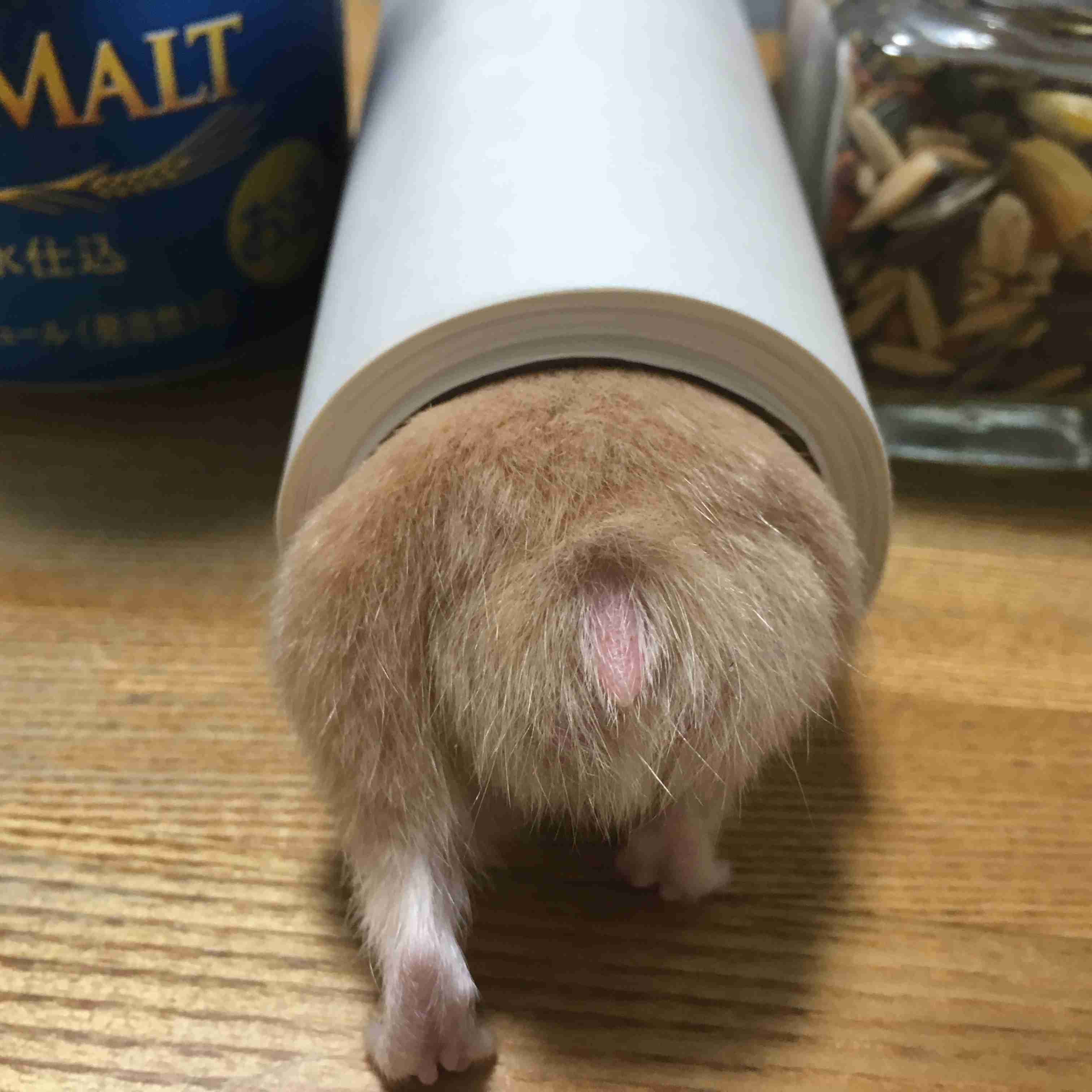 生活感溢れる写真☆part11