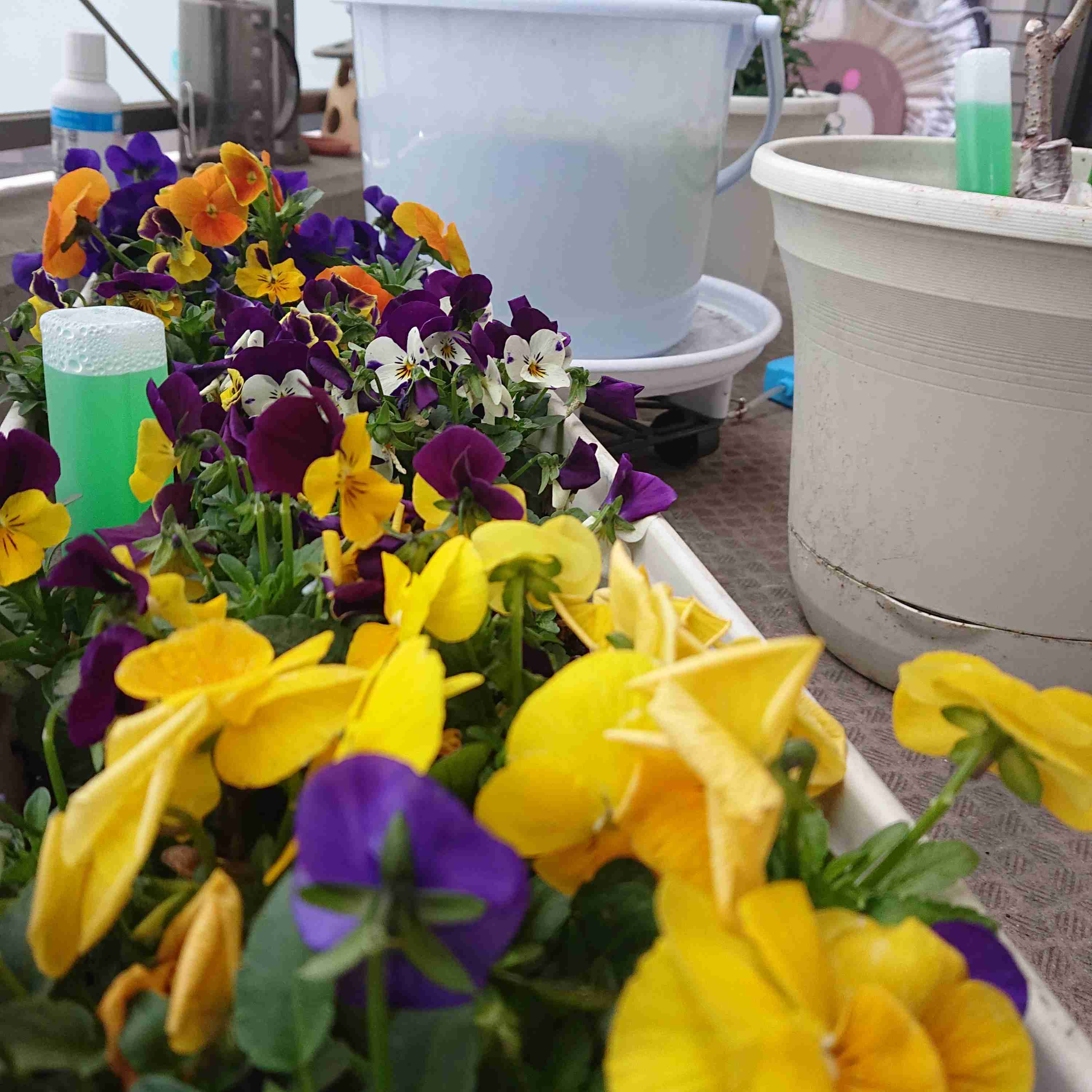 生活感溢れる写真☆part11