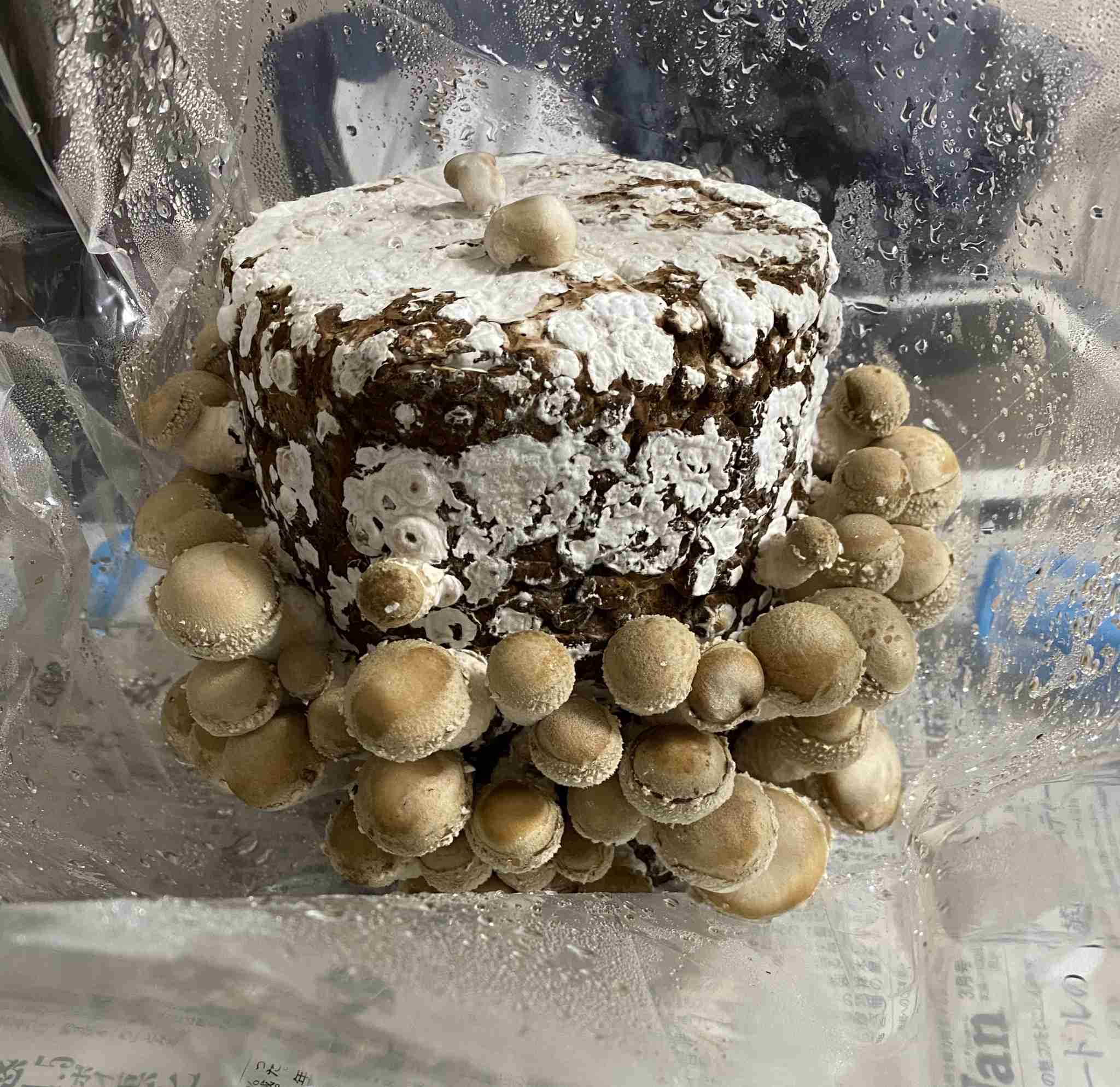 生活感溢れる写真☆part11