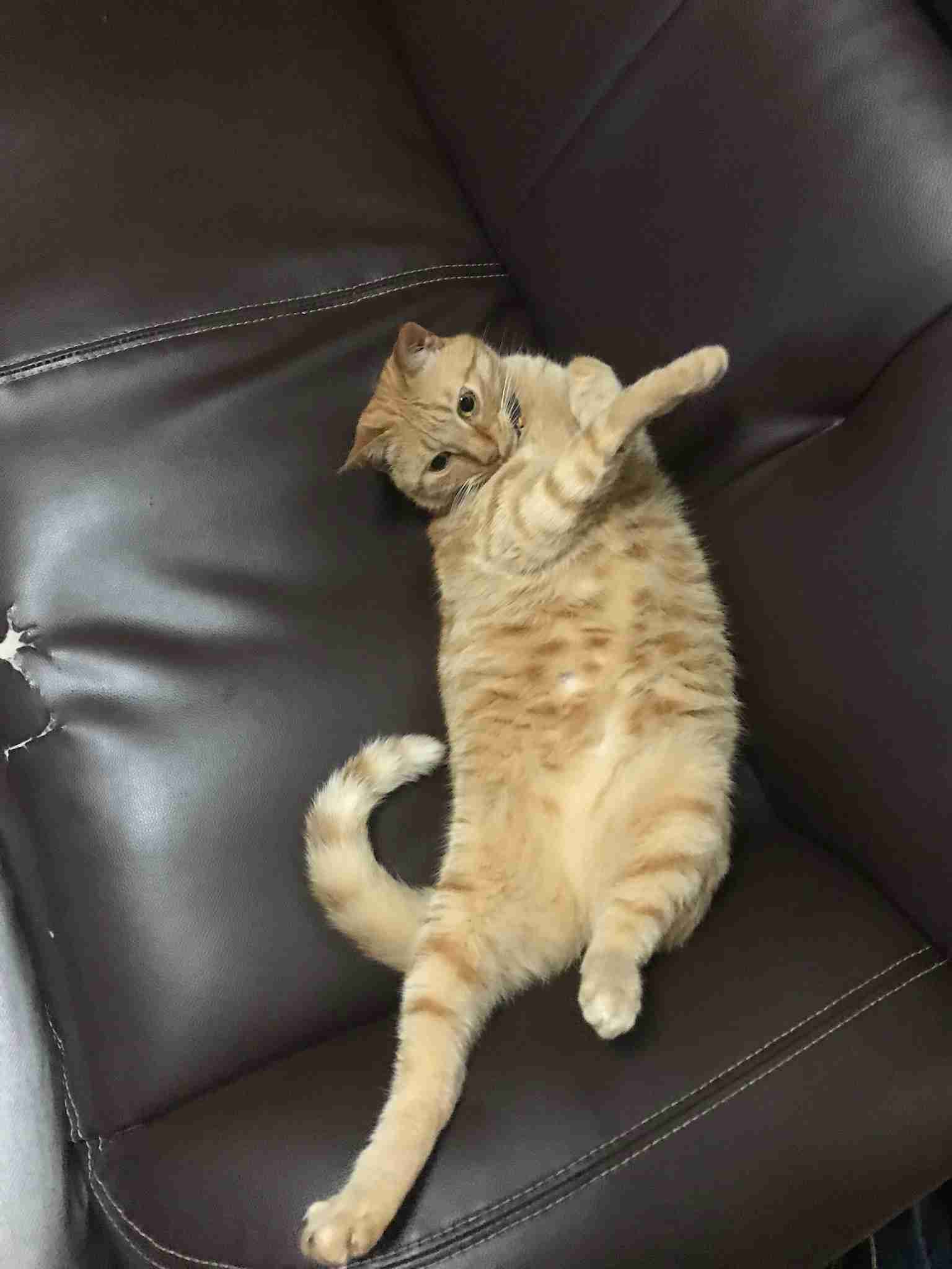 生活感溢れる写真☆part11