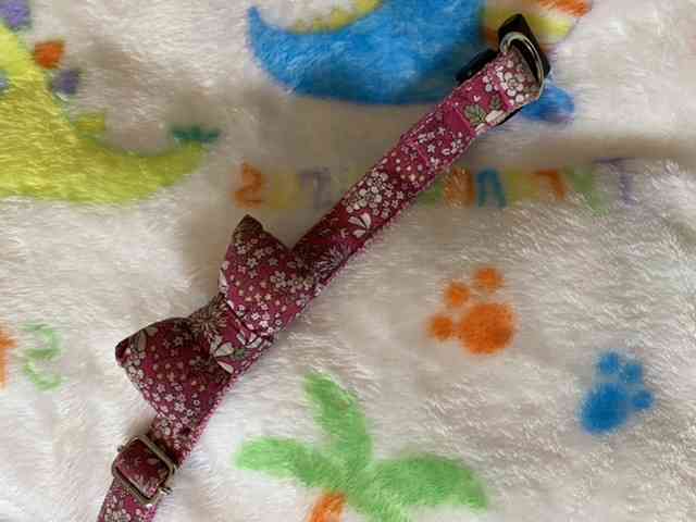 生活感溢れる写真☆part11