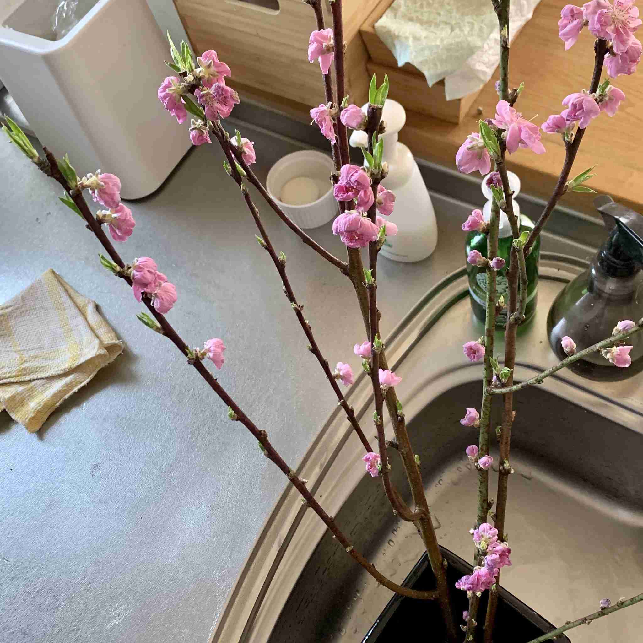 生活感溢れる写真☆part11