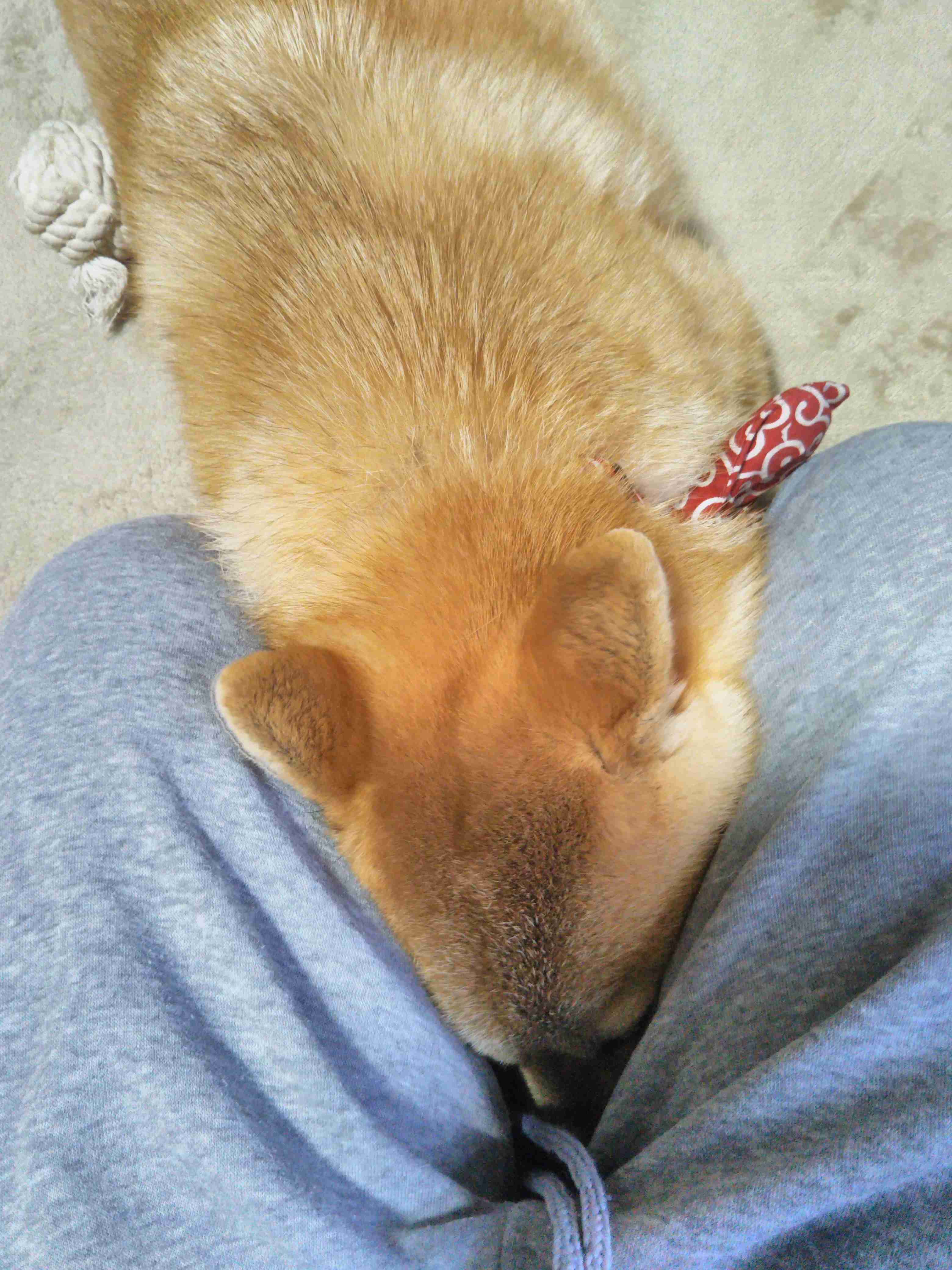 生活感溢れる写真☆part11