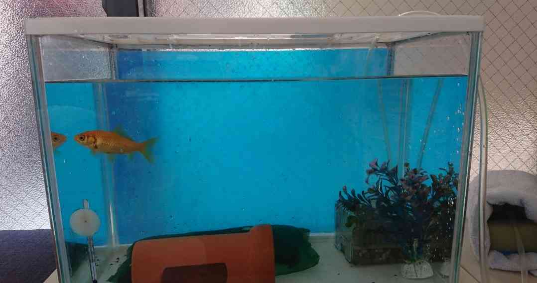 生活感溢れる写真☆part11