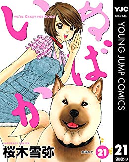  保護犬の命、千頭以上救う「保護犬ふれあいカフェ」神戸