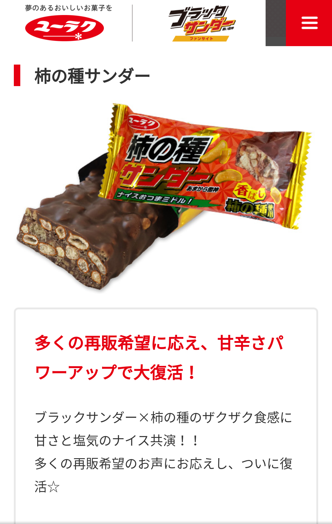 買えばよかったと後悔しているもの（時すでに遅し）