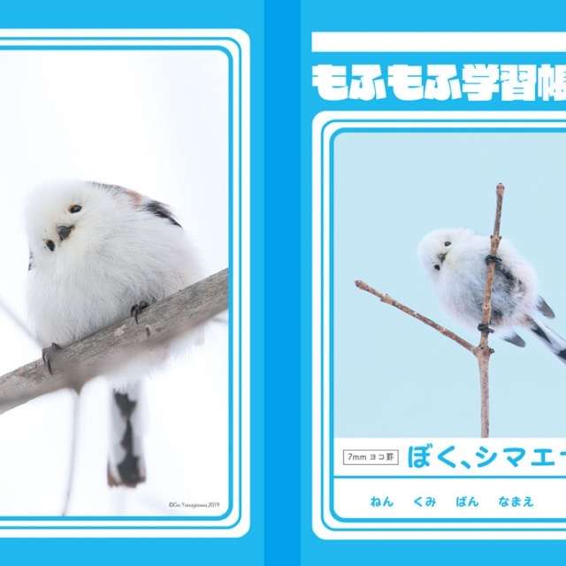 ほぼ全ての女の子に訪れるブス期について語ろう！