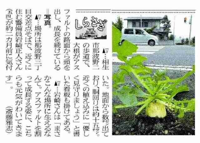 歴史上の事件知名度調査
