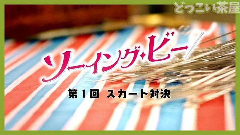 日本版を制作して欲しい海外番組