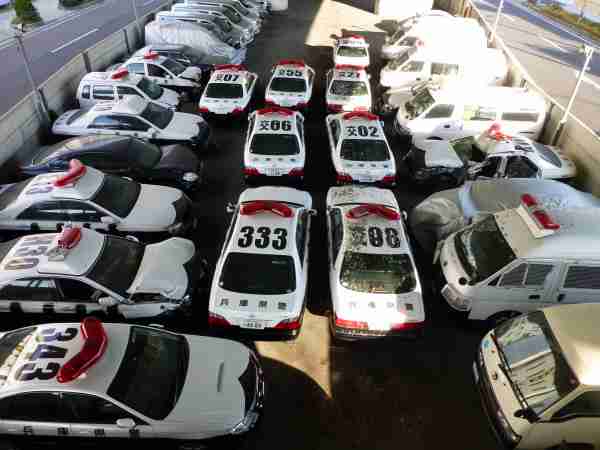 101日後に炎上したワニ　「電通案件」否定、作者は涙の釈明