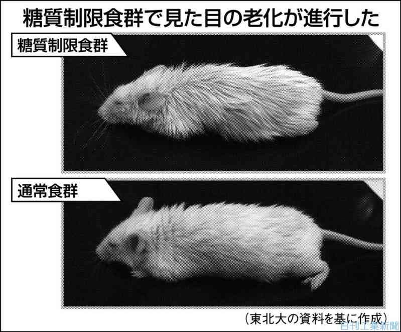 糖分を摂りすぎると老化するって本当?