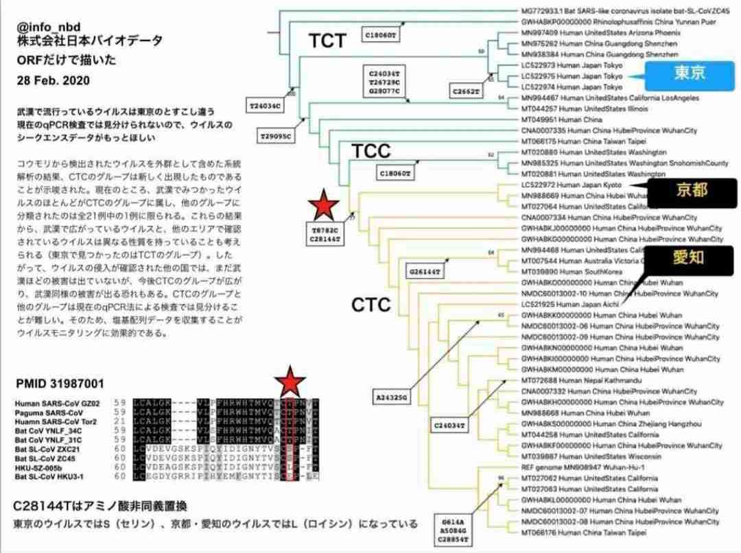 教授がエジプト旅行後に新型コロナ感染判明→卒業式が中止に。学長が会見で憤り