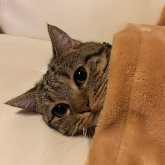 週末に楽しく雑談したい人が集まるトピ
