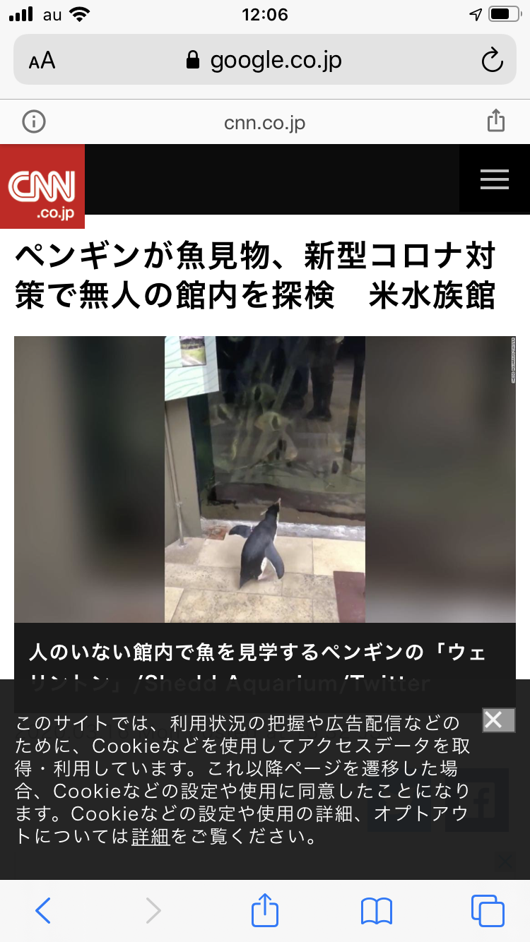 週末に楽しく雑談したい人が集まるトピ