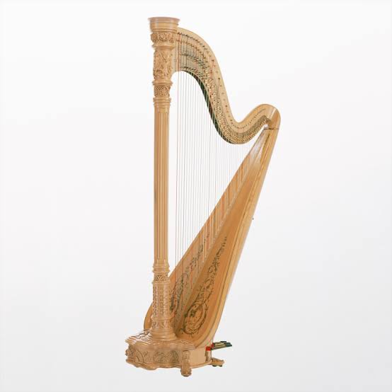 どんな楽器と付き合いたい？