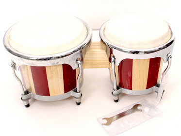 どんな楽器と付き合いたい？