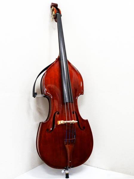 どんな楽器と付き合いたい？