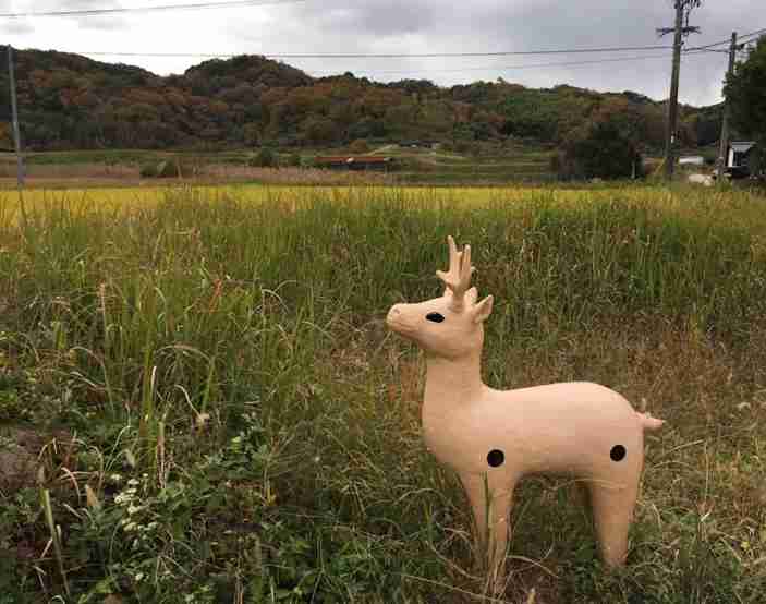 世界の不思議や謎について語るトピPART3