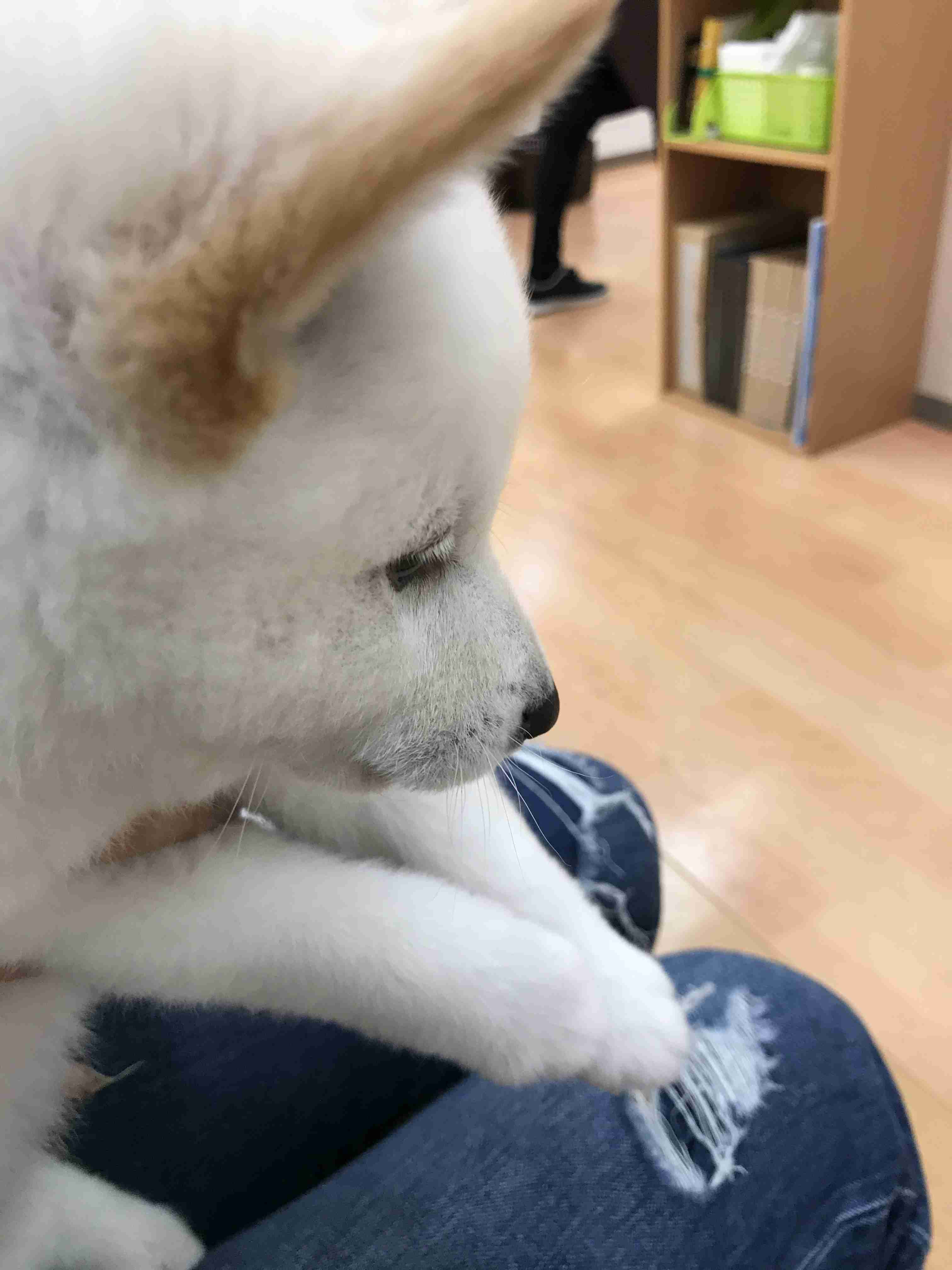 三連休の穏やかな雑談トピ