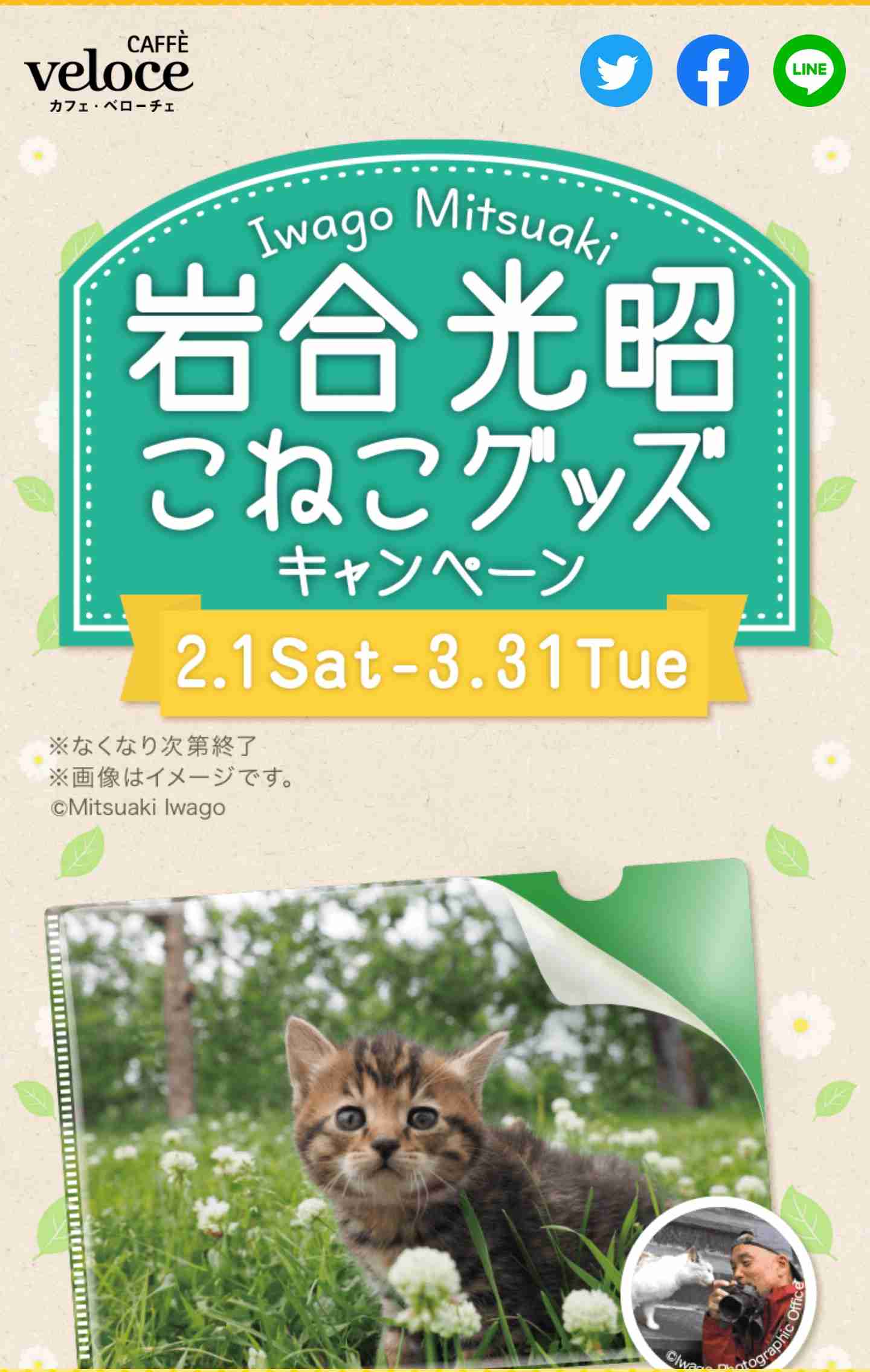 三連休の穏やかな雑談トピ
