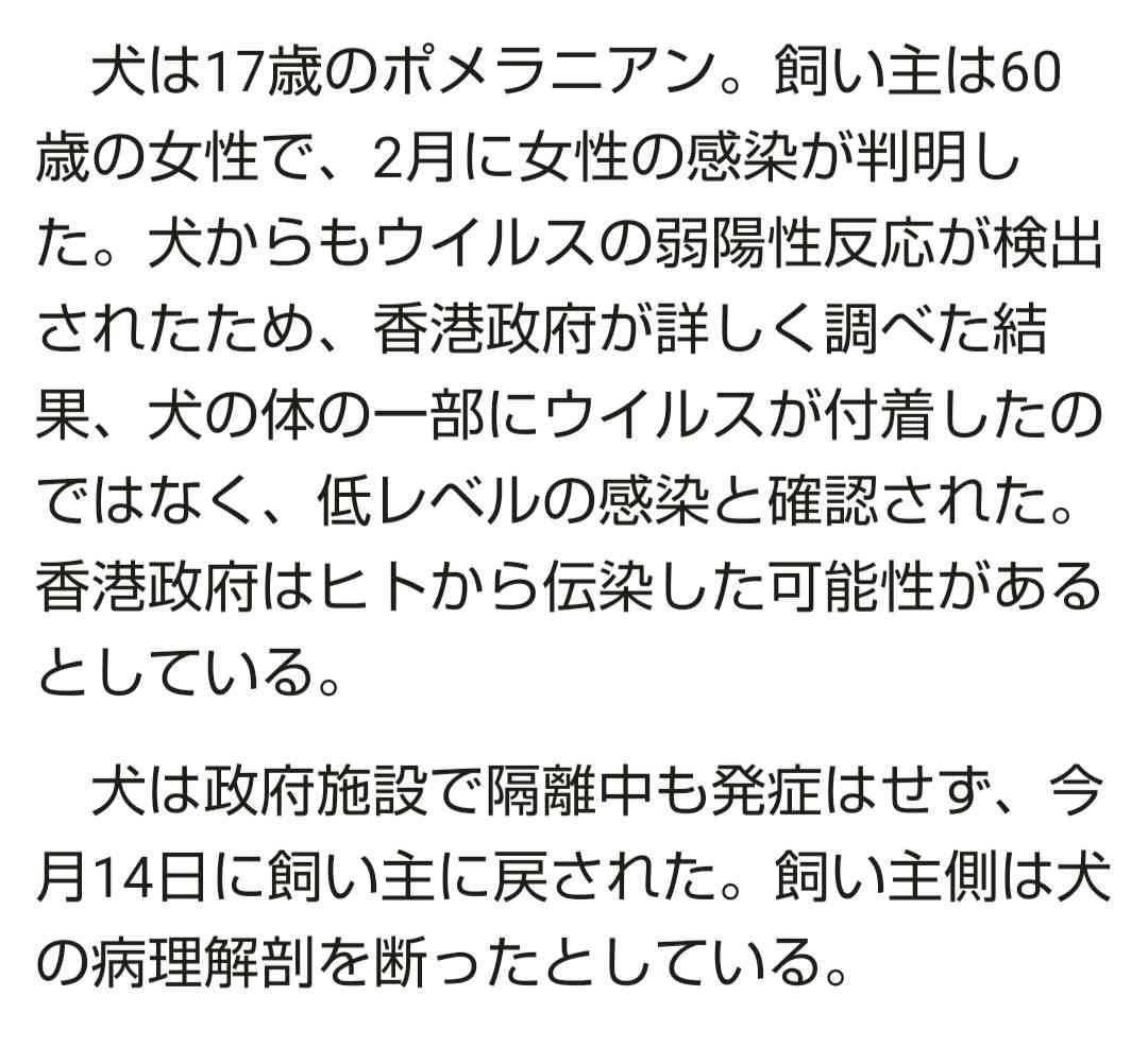 三連休の穏やかな雑談トピ