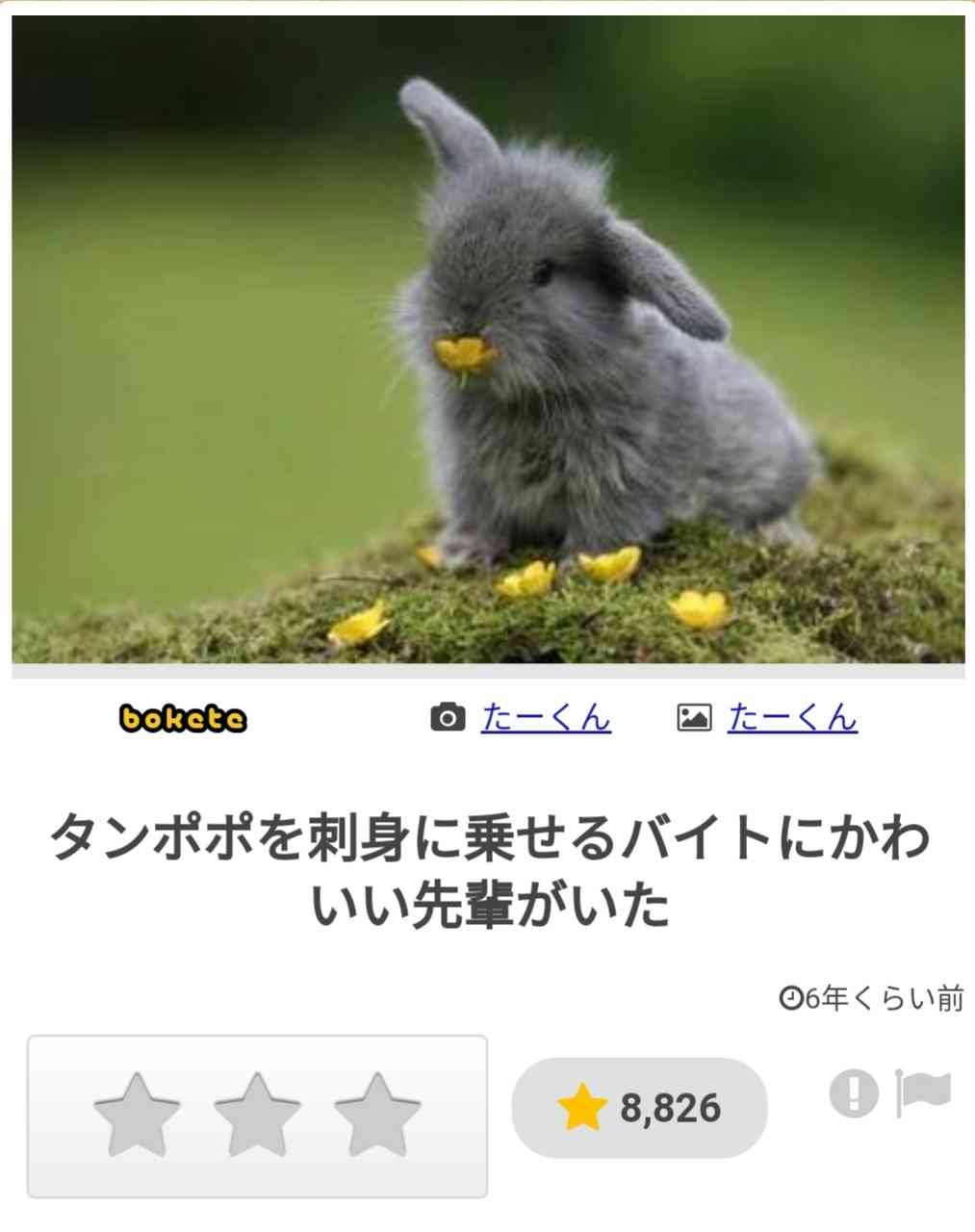 変わったアルバイトしたことある方