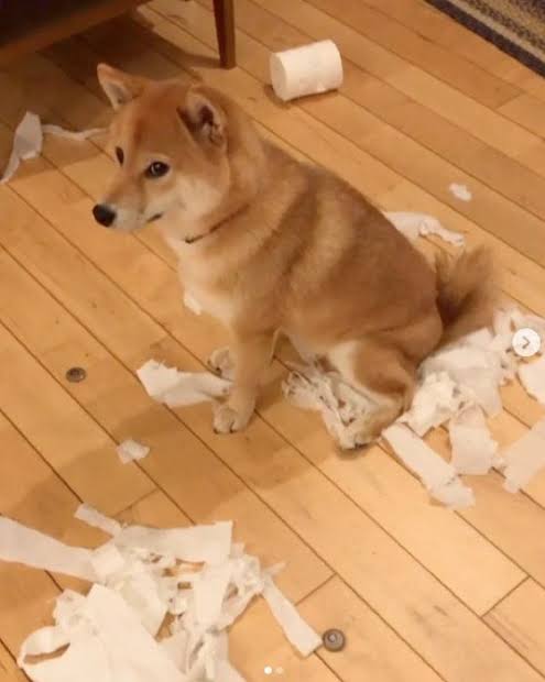 嘘がバレるパターンを共有するトピ