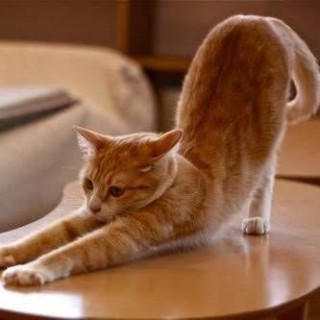 Queenの楽曲、あなたのお気に入りは？part２