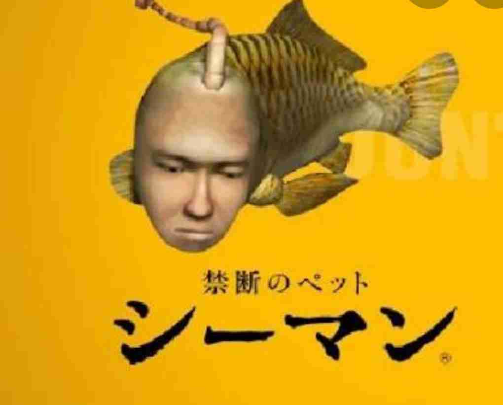 一番そういえばこんなものあったねと思わせた人が優勝