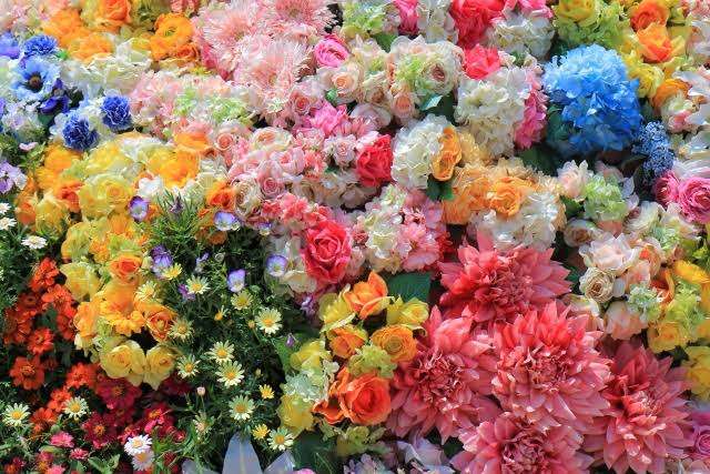 人生、もう一花(ひとはな)咲かせたい人。もうどうでもいい人。