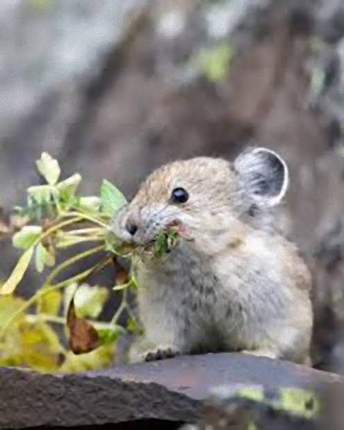 JO1、インタビュー連載スタート 読者からマニアックな質問、“ガヤ”にも注目