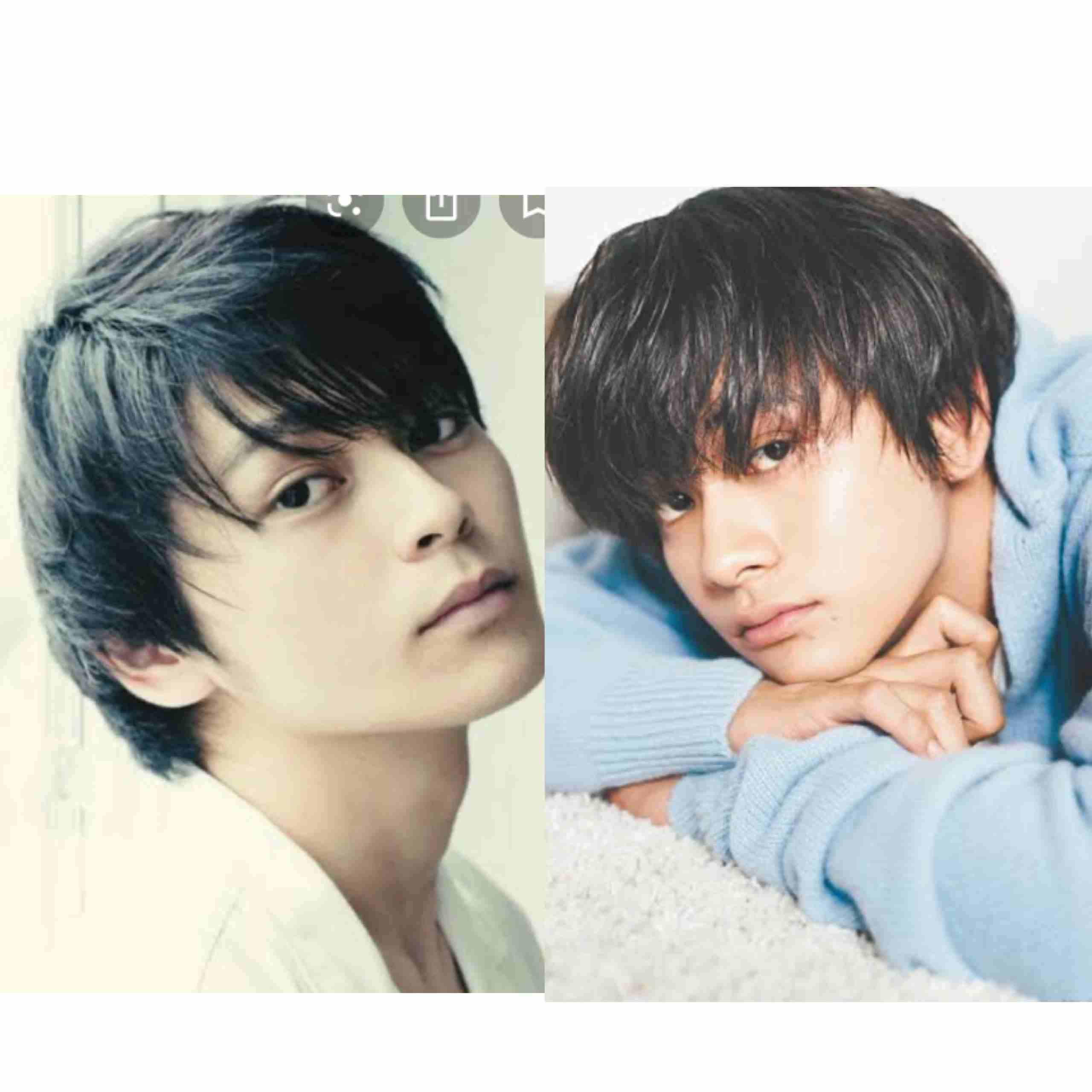 似ていないけど見分けがつかない有名人