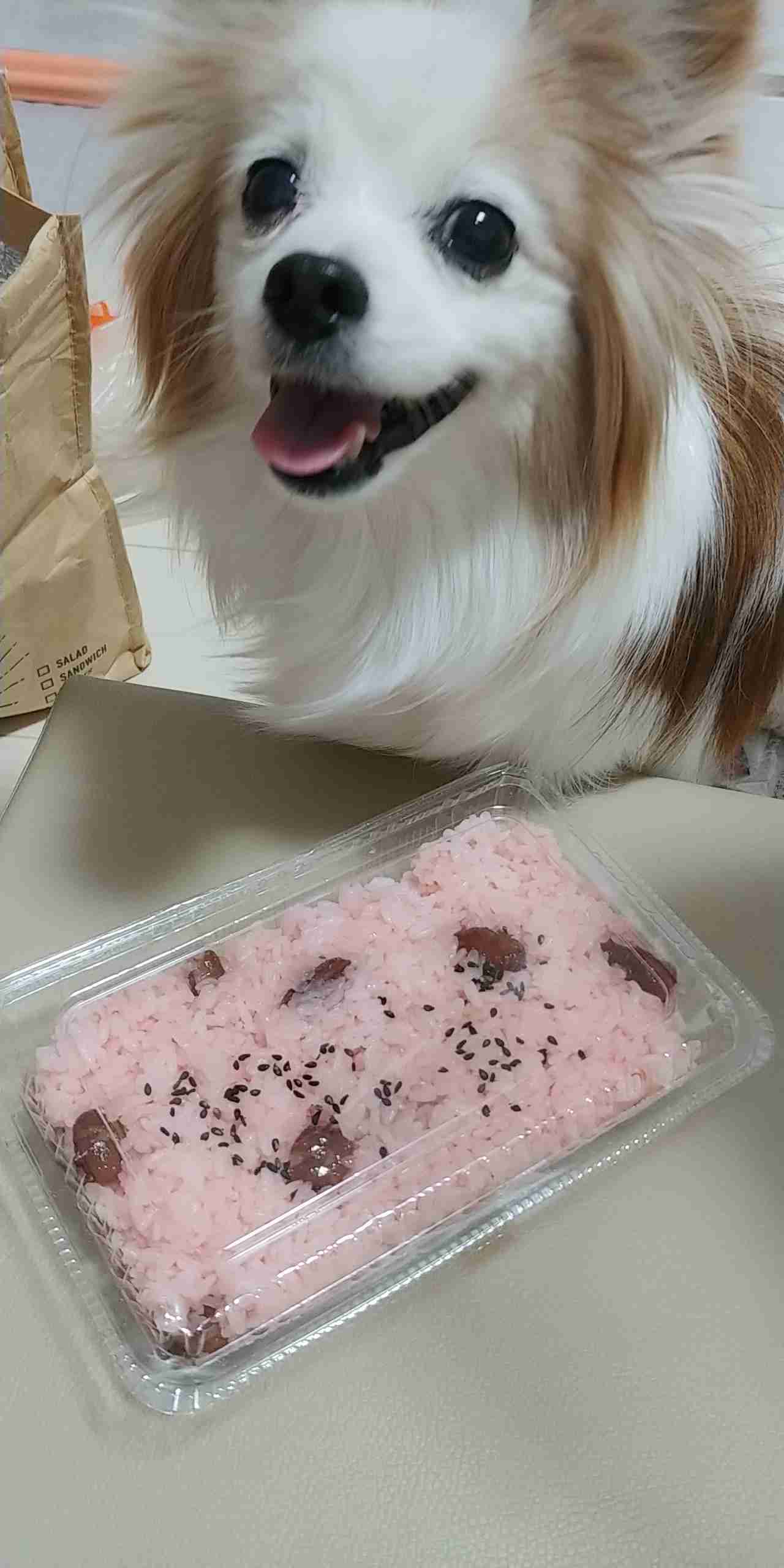 北海道あるある