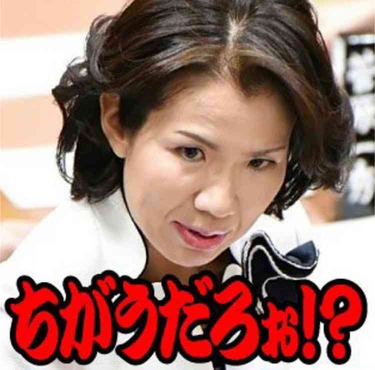 「まゆゆ」豊田真由子にファン急増   コメンテーター転身で活路あり