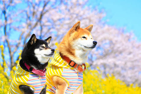 カラフルな画像