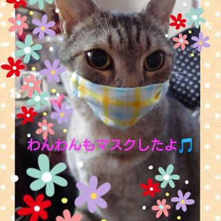 カラフルな画像