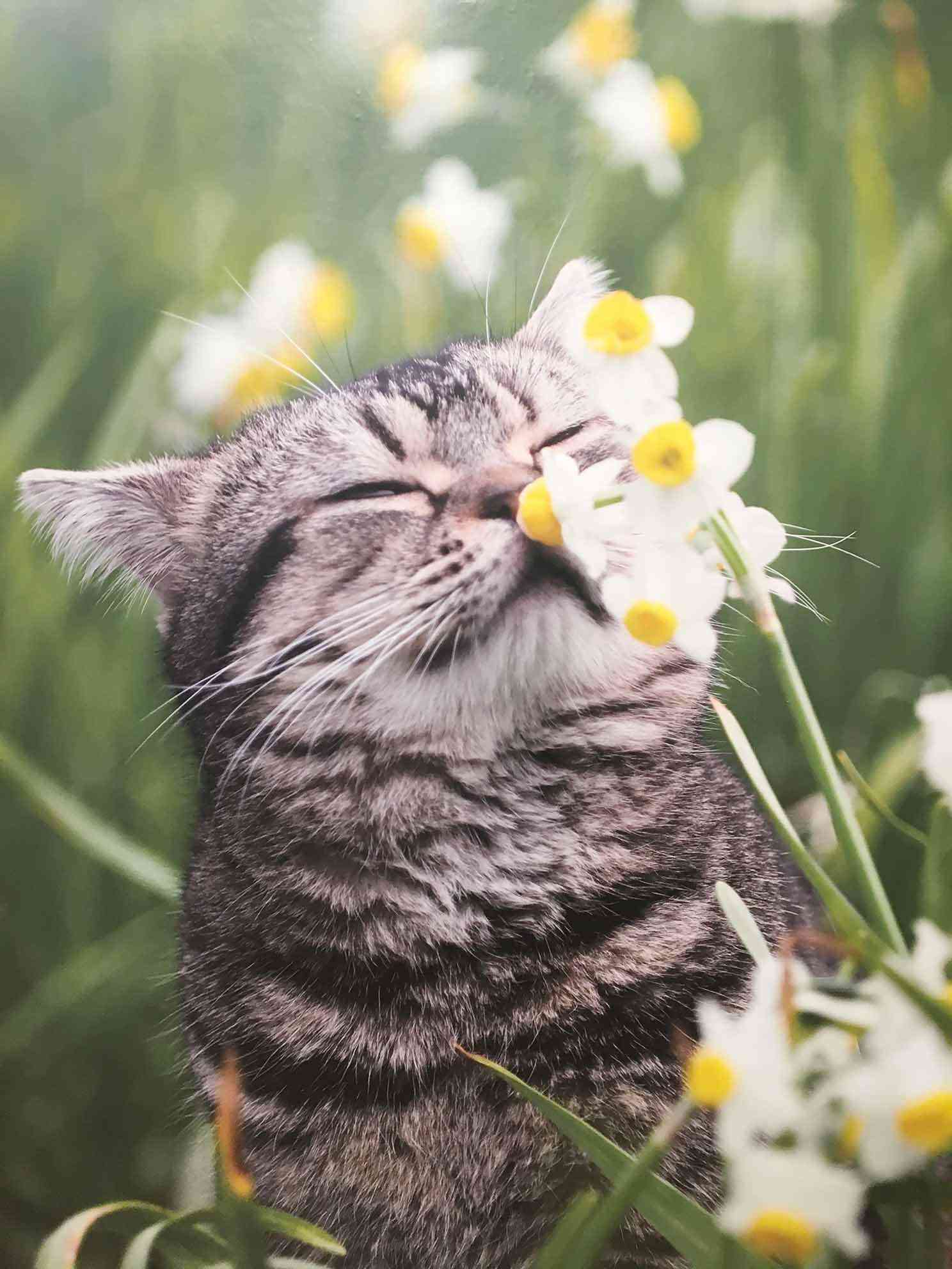 カラフルな画像